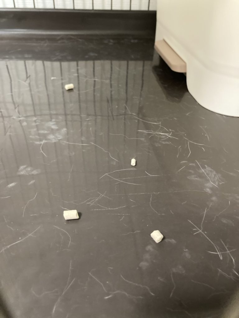 トイレ周辺に飛び散ったラクラクサンド