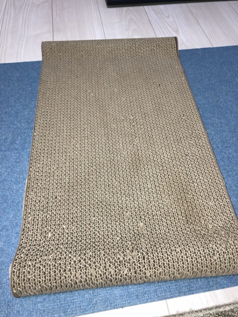 にゃんこの宿 にゃんと極楽の全体